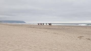 Beach | On the beach