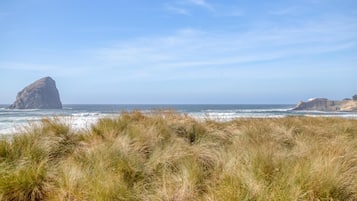 Beach | On the beach