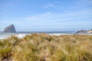 Beach | On the beach - Whale's Tail Cottage (Pacific City)