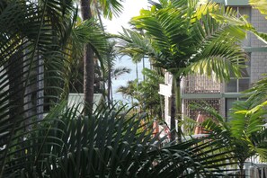 Escape to a serene tropical haven with breathtaking ocean views.