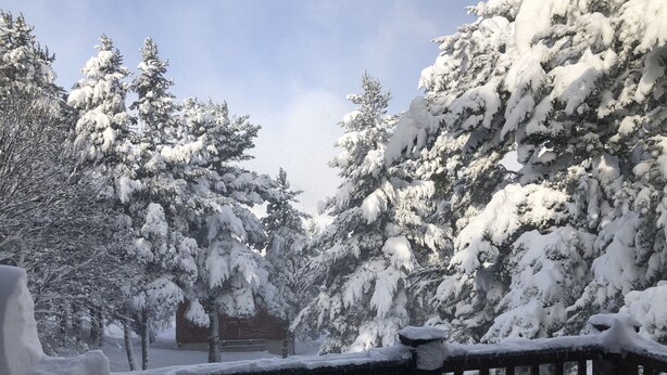 A snow-covered landscape with trees and a wooden fence. - Cosy chalet close to resorts and lake many activities summer/winter 10 pl. ⛷️🥾🦌 (Matemale)