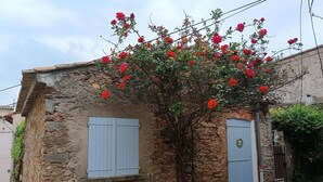 Un bâtiment en pierre avec deux volets bleus, un petit jardin avec des fleurs rouges et une rue étroite.