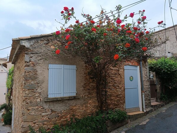 Detalle exterior