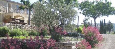 Overnattingsstedets uteområder