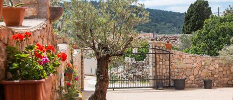 Áreas de la propiedad