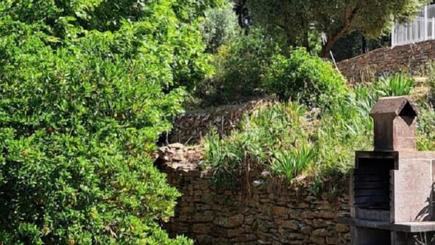A stone wall with a rustic outdoor grill and a lush green bush in the foreground. - Le Bastidon des Tilleuls (LE BEAUSSET)