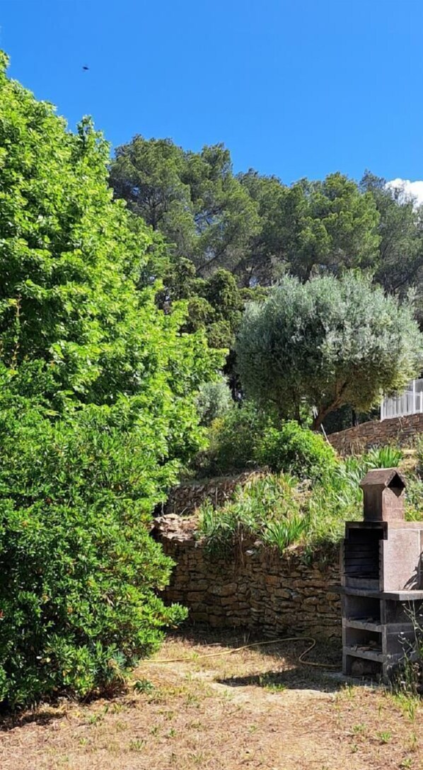 Immagine non classificata, 1 di 26, pulsante