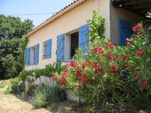 تفاصيل الفندق من الخارج