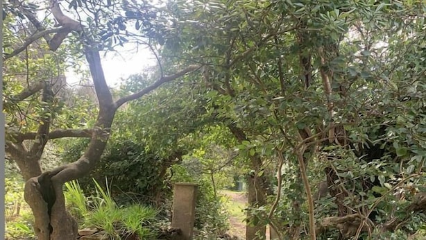A stone pathway leading through a garden with trees and dense foliage. - Les Volets Bleus - LA Garde Freinet (LA GARDE FREINET)