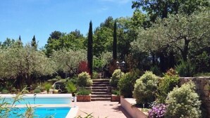 Une piscine dotée d’une terrasse carrelée, entourée de différentes plantes et arbres.