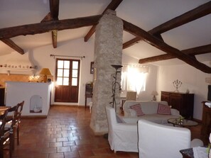 TV, fireplace, books