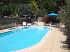 Pool - L'amphore - Draguignan (DRAGUIGNAN)
