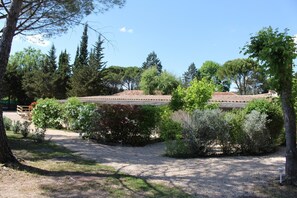 Property grounds - La Cigale Verte à Callian (CALLIAN)