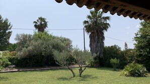Ein gepflegter Garten mit verschiedenen Bäumen, darunter eine hohe Palme und ein Olivenbaum, unter einer Holzpergola.