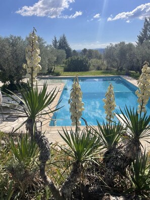 Una piscina con un cielo azul despejado y árboles al fondo.