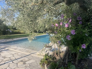 A swimming pool with stone tiles, surrounded by greenery and flowering plants.