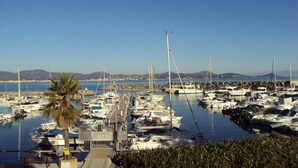 Un puerto deportivo con numerosas embarcaciones amarradas, una palmera y una vista despejada de la costa lejana.