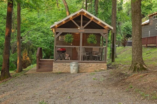 A cabin with a porch, a grill, and potted plants.