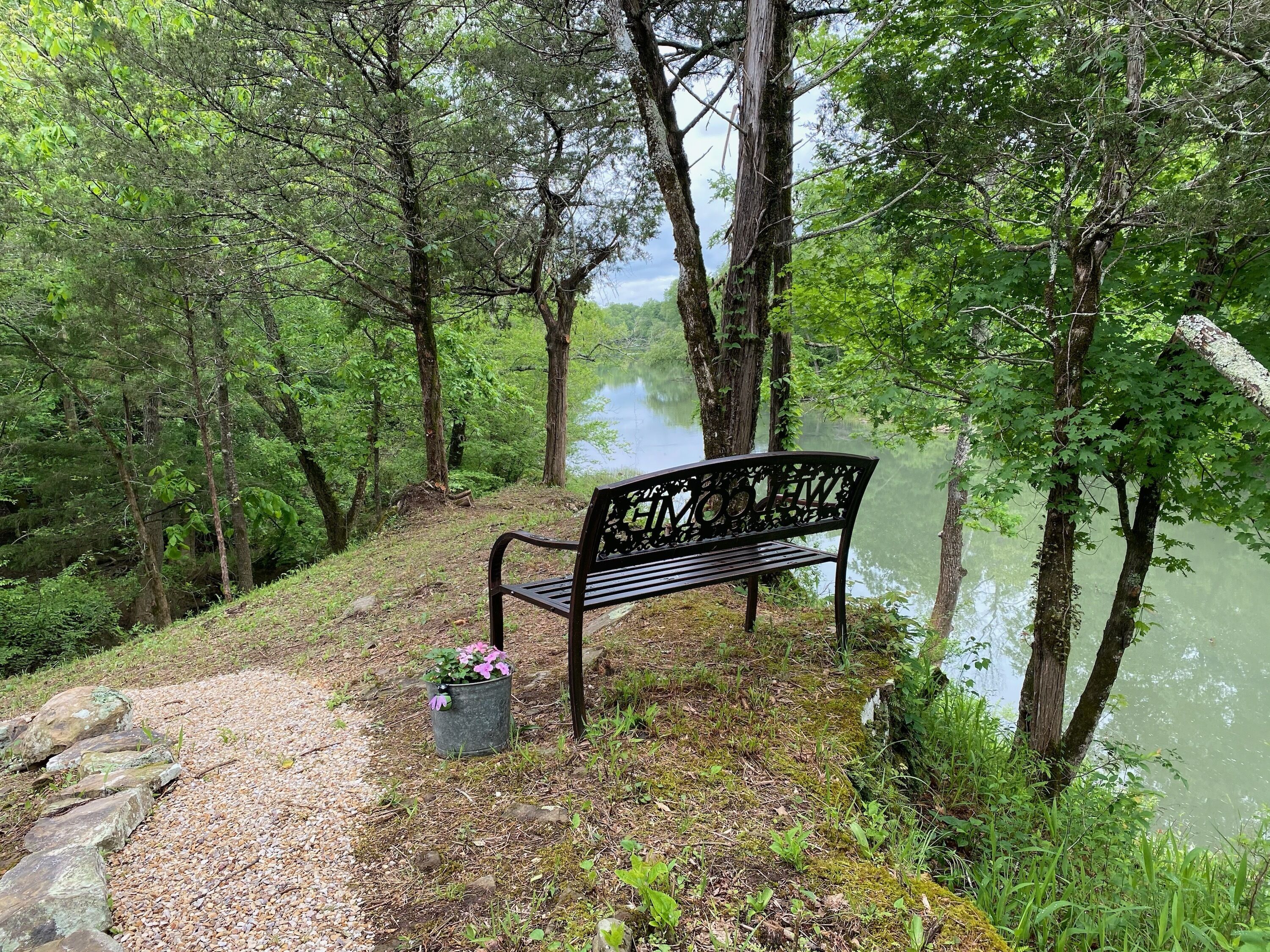 A bench by a river surrounded by trees.