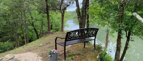 A bench by a river surrounded by trees.