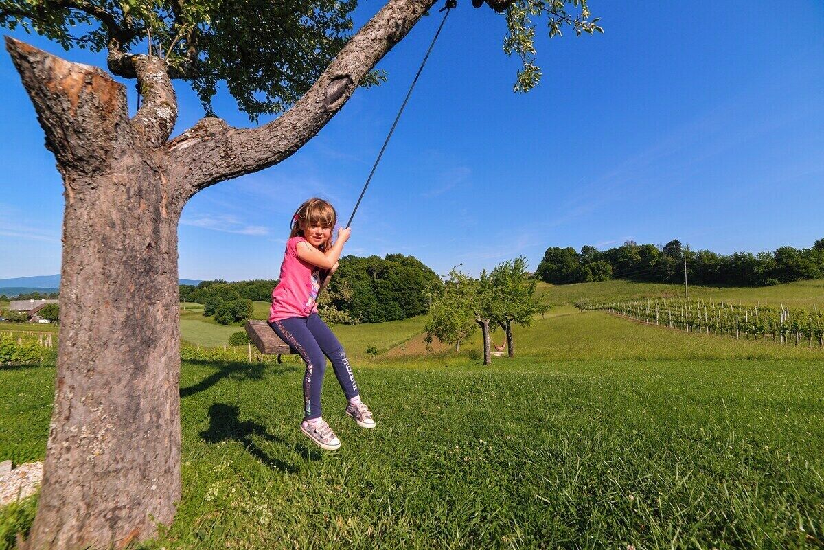 Una persona en un columpio atado a un árbol en una zona cubierta de hierba, con un viñedo al fondo.