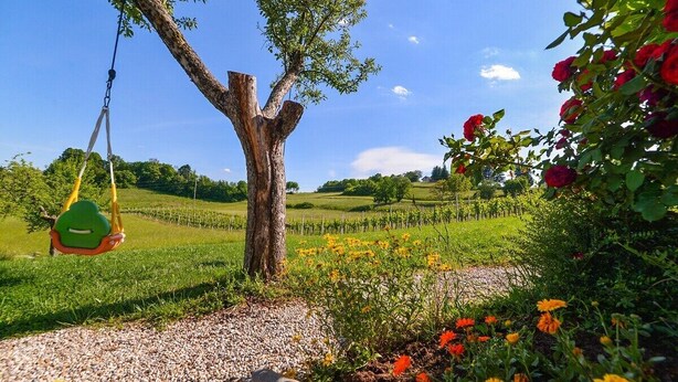 A tree with a swing hanging from its branches, surrounded by a garden with various flowers and a path. - Studio with Terrace – Nature Stay near Terme Čatež (Ribnica)