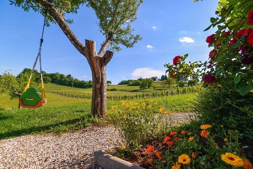 Studio with Terrace – Nature Stay near Terme Čatež