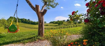 Studio with Terrace – Nature Stay near Terme Čatež