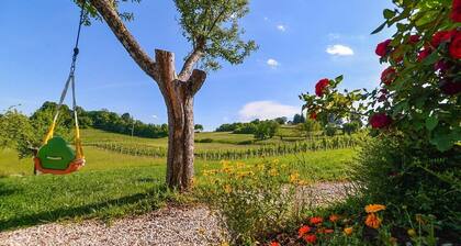 Studio with Terrace – Nature Stay near Terme Čatež
