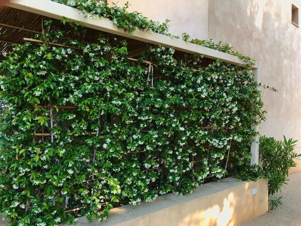 Overnattingsstedets uteområder