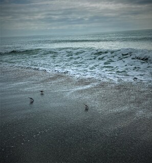 Beach nearby, sun loungers, beach towels - Hole 6 on Pinemoor Golf Course with two king suites (Rotonda West)