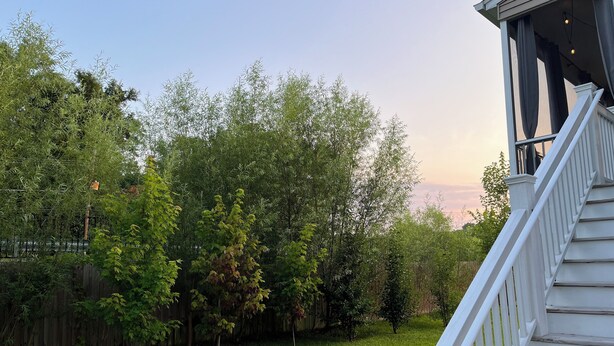 Un jardin avec une clôture en bois, une pelouse verdoyante et un escalier blanc menant à un porche abrité.