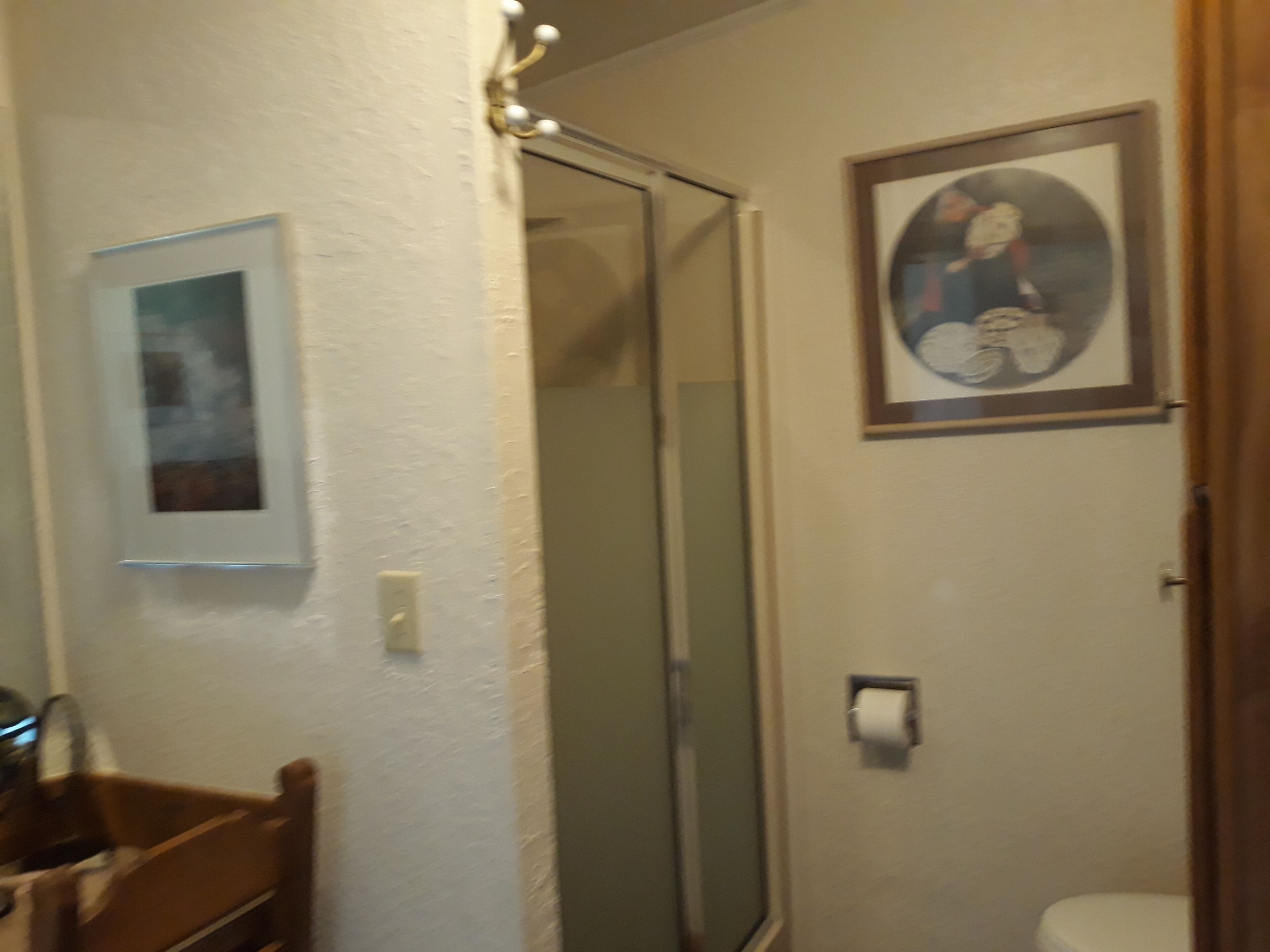 Ein Badezimmer mit Dusche, Toilette, Waschbecken und einem gerahmten Bild an der Wand.
