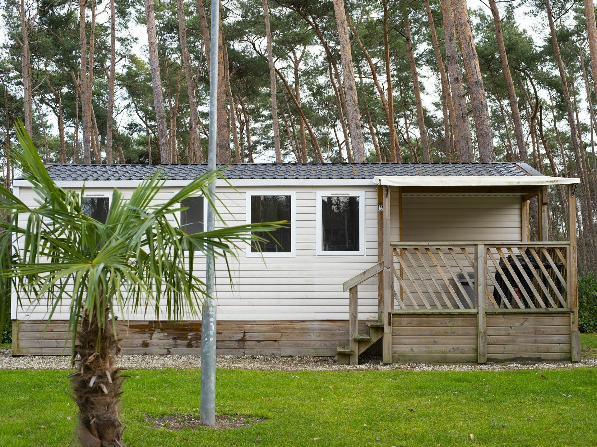 Plant, Property, Window, Tree, Trunk, Vegetation, Land Lot, Cottage, Wood, Biome