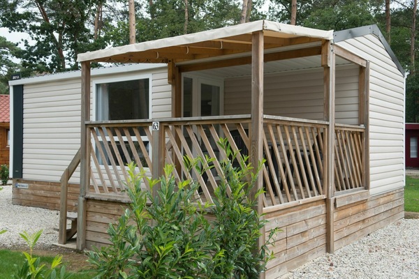 Plante, Bâtiment, Fenêtre, Arbre, Bois, Lot Terre, Maison, Porte, Chalet, Porche