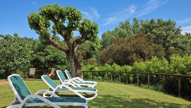 A row of sun loungers on a grassy lawn with a large tree and dense foliage in the background. - Antinoro 1, Montelupo Fiorentino, Italy (Montelupo Fiorentino)