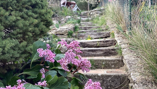 Eine Steintreppe, umgeben von üppigem Grün und blühenden Pflanzen.