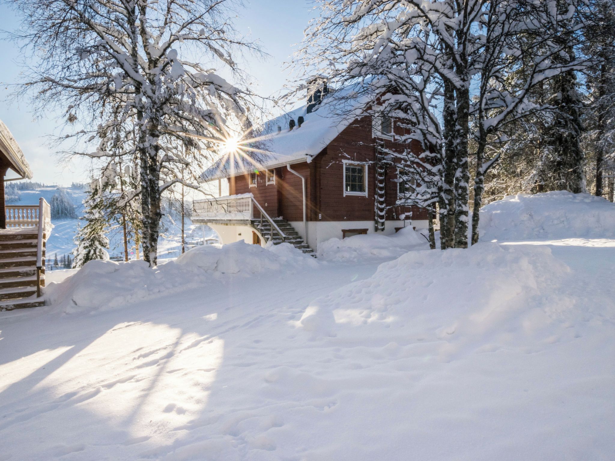 Eksteriør