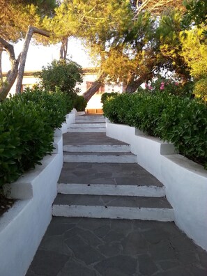 Staircase flanked by neatly trimmed hedges and white walls.