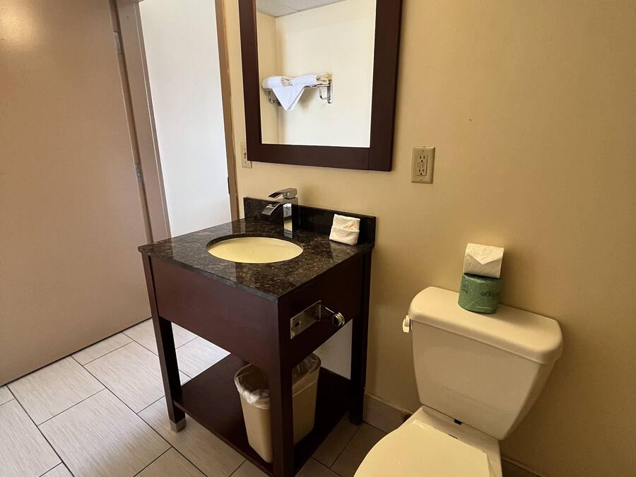 A bathroom with a sink, mirror, toilet, and trash bin.