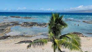 A beach with clear blue water, rocky formations, and a palm tree. - Spend some time on Puako Beach. (Waimea)