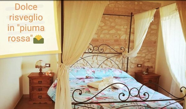 1 habitación y internet gratis 