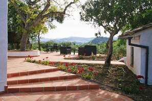 Terras
