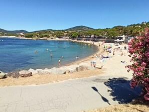 Playa en los alrededores y camastros 