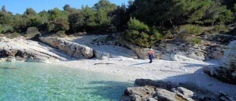 بالقرب من الشاطئ