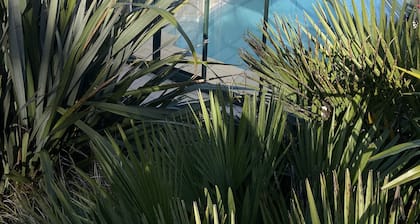 Un havre de paix surplombant la mer