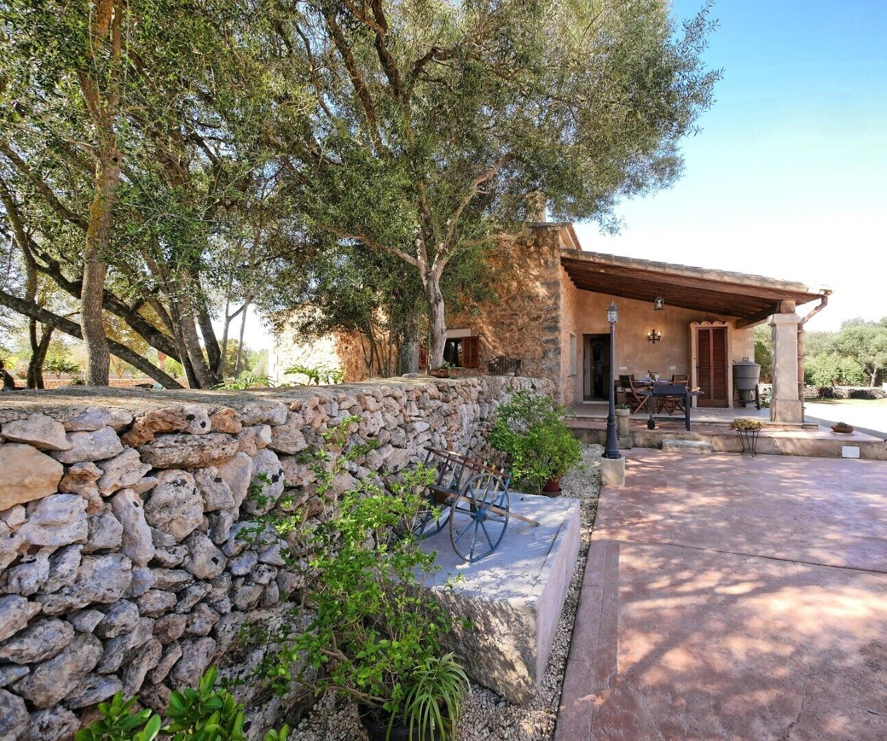 テラス / パティオ