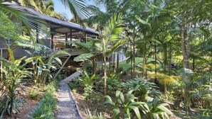A tropical resort with a covered outdoor area, surrounded by lush greenery and palm trees. - 2 x queen bedrooms, 2 x ensuite's, 1 guest lounge, outdoor bbq kitchen and pool. (Currumbin Valley)