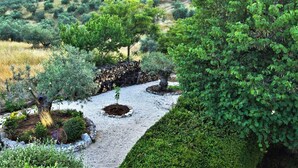 Un jardín ajardinado con un sendero de grava, arbustos diversos y un muro de piedra.
