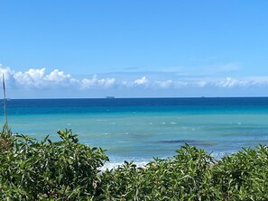Beach - Rustic Cabin Tarifa 4 guests 5 minutes to beach (Tarifa)
